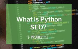What is Python SEO? | SEO Agency | ProfileTree