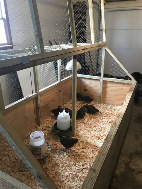 Image result for Large Chicken Brooder