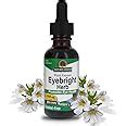 Buy Nature's Answer Alcohol-Free Eyebright Herb, 1-Fluid Ounce Online ...