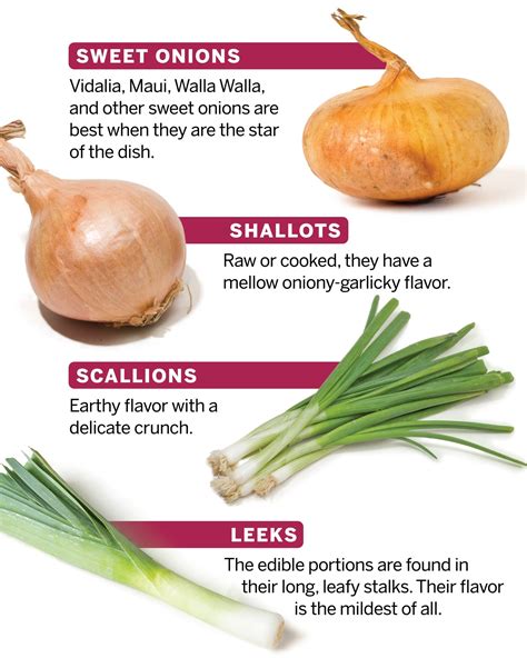 Cook's Country | Onions, shallots, scallions, and leeks all belong to ...