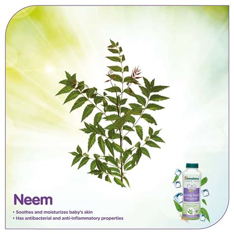 Buy HIMALAYA BABY PRICKLY HEAT POWDER BOTTLE OF - 100 G Online & Get ...