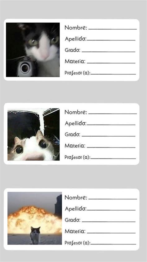 Pin de Ángela Ramírez en Guardado rápido | Membretes para cuadernos ...