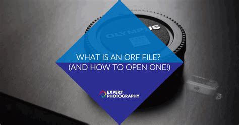 Image result for ORF File