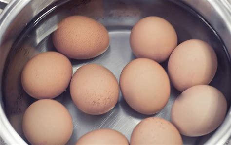 跑者吃鸡蛋补充蛋白质，该吃多少合适呢？