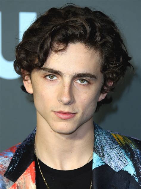 Timothée Chalamet Pictures | Rotten Tomatoes
