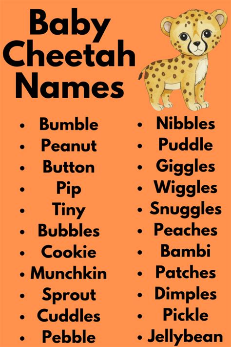 Image result for Trinket Enter a Name Code Python