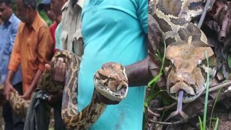 Image result for Python Code in Kannada