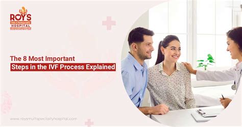 Image result for IVF Process Explained