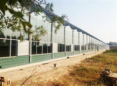 钢架温室大棚,钢架温室大棚厂家_青州艺博温室工程有限公司
