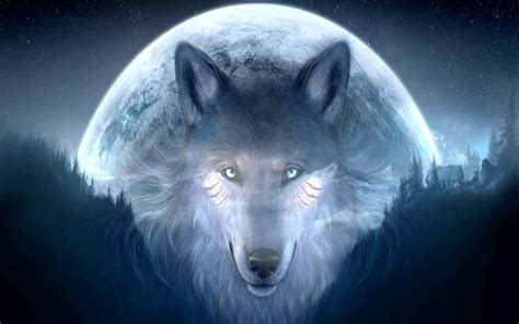 [100+] Cool Wolf Pictures | Wallpapers.com