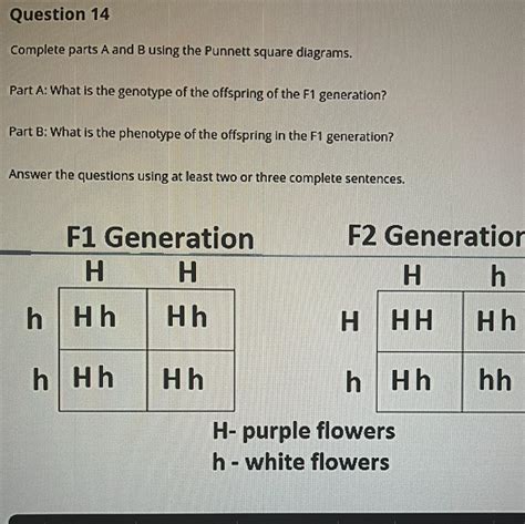 What is the genotype of the offspring in F1 generation? What is the ...