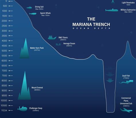 Mariana Trench Floor