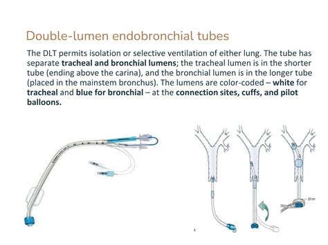LUNG ISOLATION techniques and one lung ventilation | PPTX