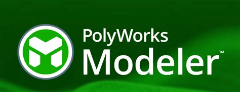 Image result for What Is PolyWorks Modeler