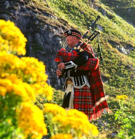 Image result for scots