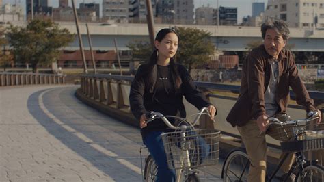 Image result for Perfect Days Criterion