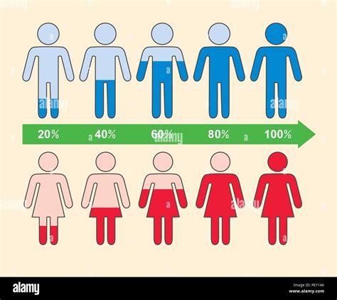 vector infographic of percentage chart with symbols of people, blue males and red females human ...