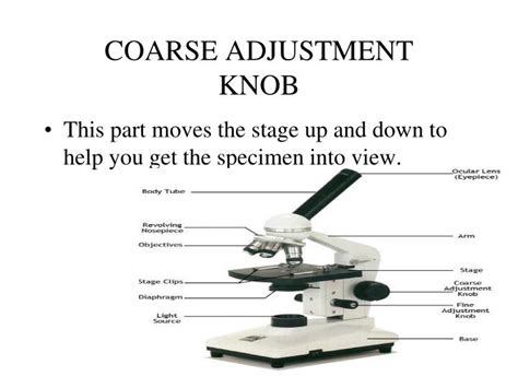 Image result for Course Focus Microscope Function