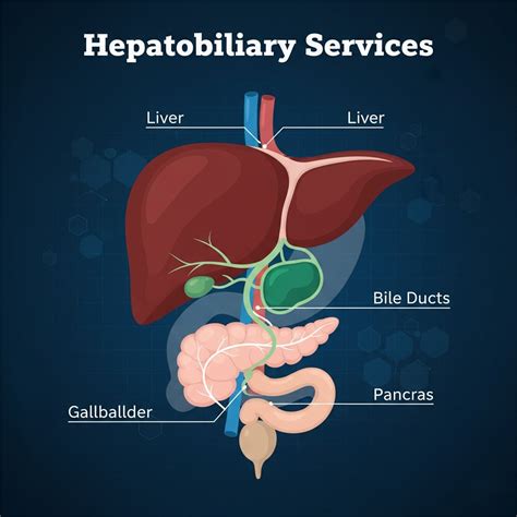 Best Hepatobiliary Surgeon in Dhaka, Bangladesh | Expert Care