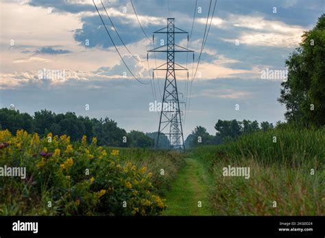 Electricity Power Lines 的图像结果