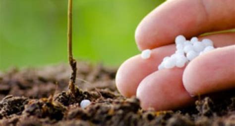 Image result for Lakshmi Machine Work