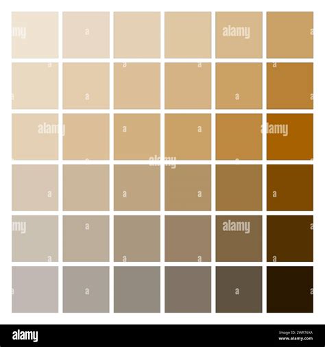 Neutral Earth Tones Color Palette Grid. EPS 10 Stock Vector Image & Art ...