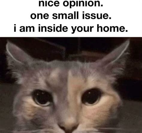 #WELISTENANDWEDONTJUDGE #VARI