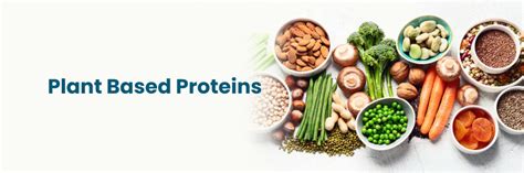 Health Benefits and Best Sources of Plant-Based Proteins
