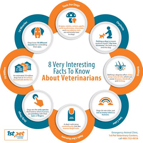 10 Interesting Facts About Vet Techs