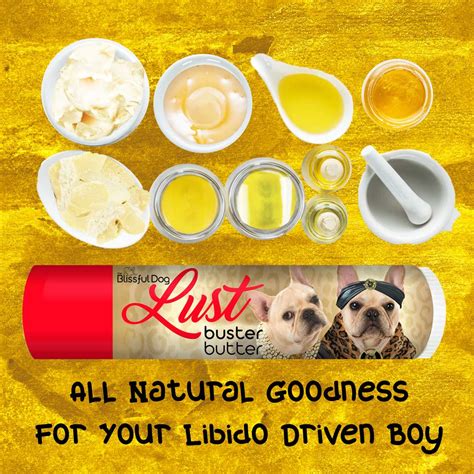 Dog Lust Buster for Help In Keeping Boys At Bay - For Short Periods ...