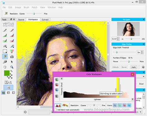 Image result for Vertus Fluid Mask Tutorial