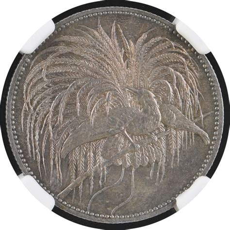 【MS63】1894年 ドイツ領ニューギニア 極楽鳥 2マルク銀貨 | すべての商品 | アンティークコインの通販ならRareCoinShop