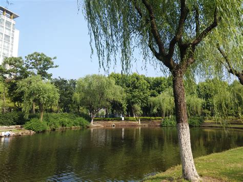 2022江阴中山公园游玩攻略,是，环境保护好、绿植花卉种... 【去哪儿攻略】