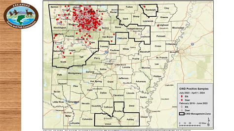 CWD Sampling 的图像结果