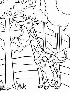 malvorlage giraffe einfach sch 246 ne malvorlagen f 252 r kinder beliebte bilder zum ausmalen malvorlage giraffe einfach sch 246 ne malvorlagen f 252 r kinder beliebte bilder zum ausmalen