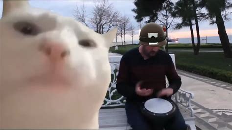 kazotsky kick cat : r/tf2