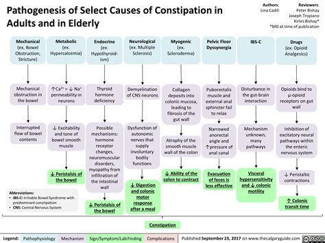 Pathogenesis of Select Causes of Constipation in Adults and in Elderly ...