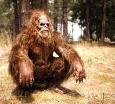 Image result for Bigfoot Found Alive
