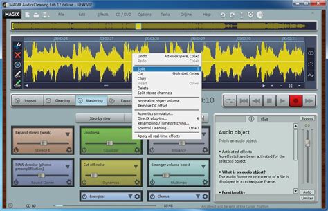 Image result for Magic Audio Cleaning Lab 4 Edit Tutorial