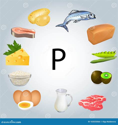Foods rich in phosphorus stock vector. Illustration of organic - 103555066