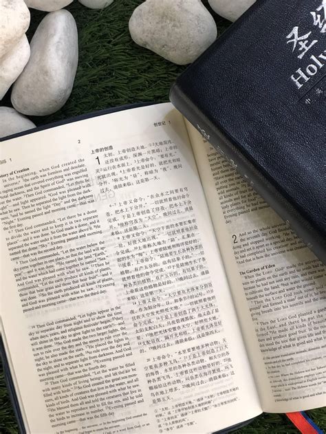 圣经里最经典的句子100句-搜狐