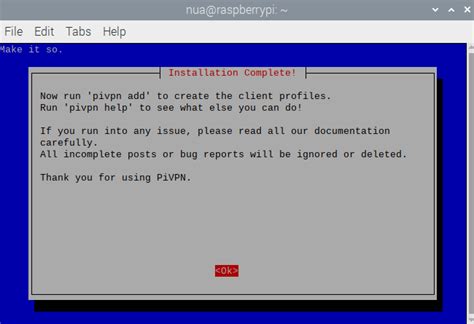 Raspberry Pi OpenVPN Client 的图像结果
