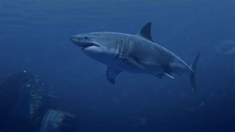 Image result for The Shark Rust Game