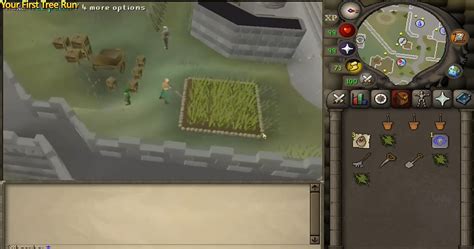 Image result for OSRS Tree Farming Locations