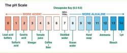 Textbook Solution: Structure and Properties of Material - IGCSE ...