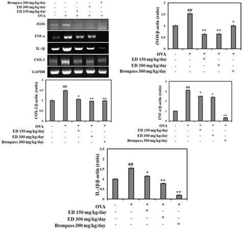 ED Formula, a Complex of Ecklonia cava and Chrysanthemum indicum ...