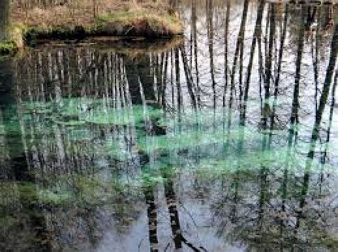 Niebieskie Zrodla Nature Reserve, tomaszow mazowiecki, Poland - Top ...