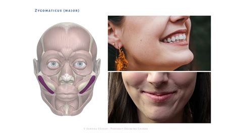 Muscle Head Model Computer Graphics Simulation 的图像结果