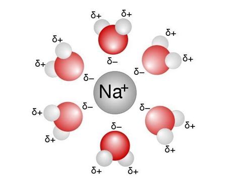 in aqueous solution the solvent is - Brainly.in