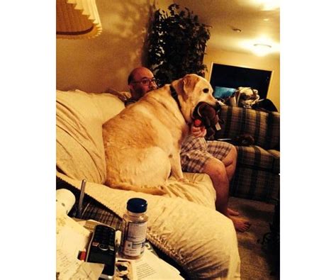 Kevin R. Hoffman Obituary (2023) - Wheatfield, IN - Boersma Funeral Home